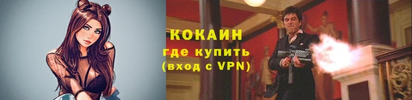 ALPHA-PVP Няндома