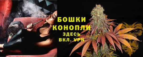 молекула духа Нягань
